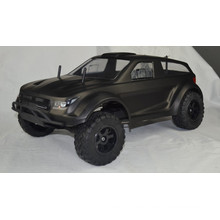 RC racing Truck, Brushless RC Desert Truck, 1: 10 Rc Desert truck